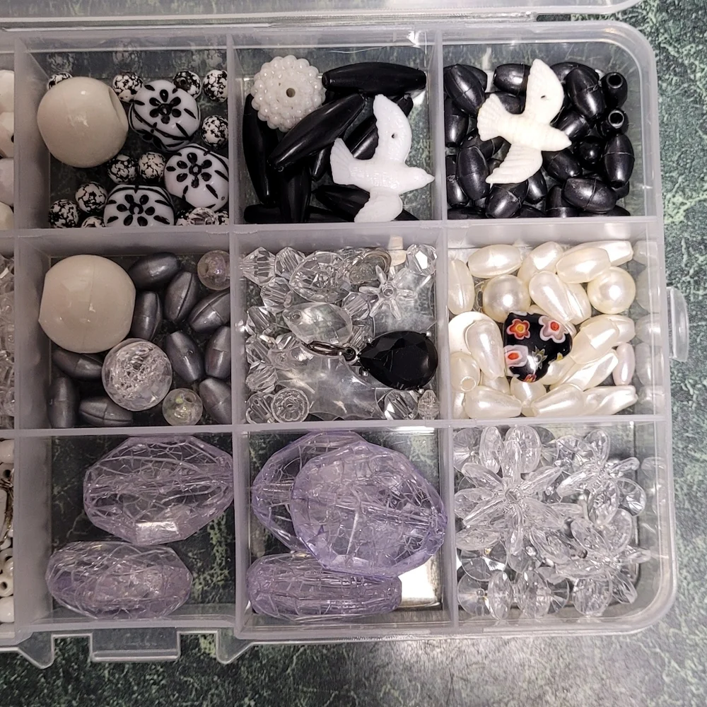 Elegant Bead Organizer with Black and White Accents